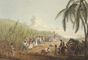 A-history-of-sugar | Qida Elmi