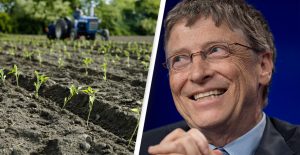 bill_gates_farm_land_1 | Qida Elmi