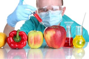 gmo gen | Qida Elmi