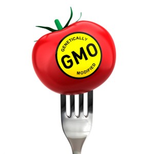 gmo. 2 | Qida Elmi