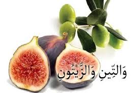 endirmə | Qida Elmi